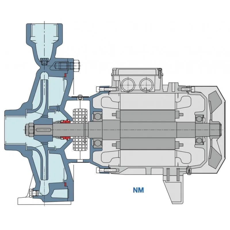 Calpeda NMM2A - Pompa acqua da 0,75 kW filettata da 1 a 6 m3/h monofase 220 V